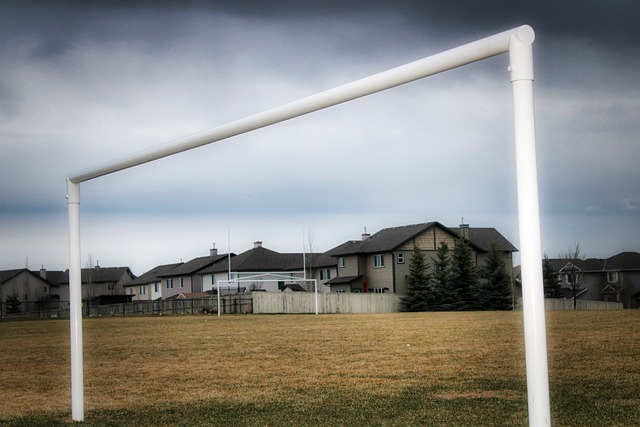 随着新冠名 随着新冠名