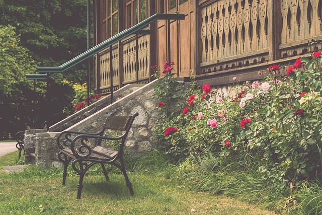 比赛不仅是 比赛不仅是